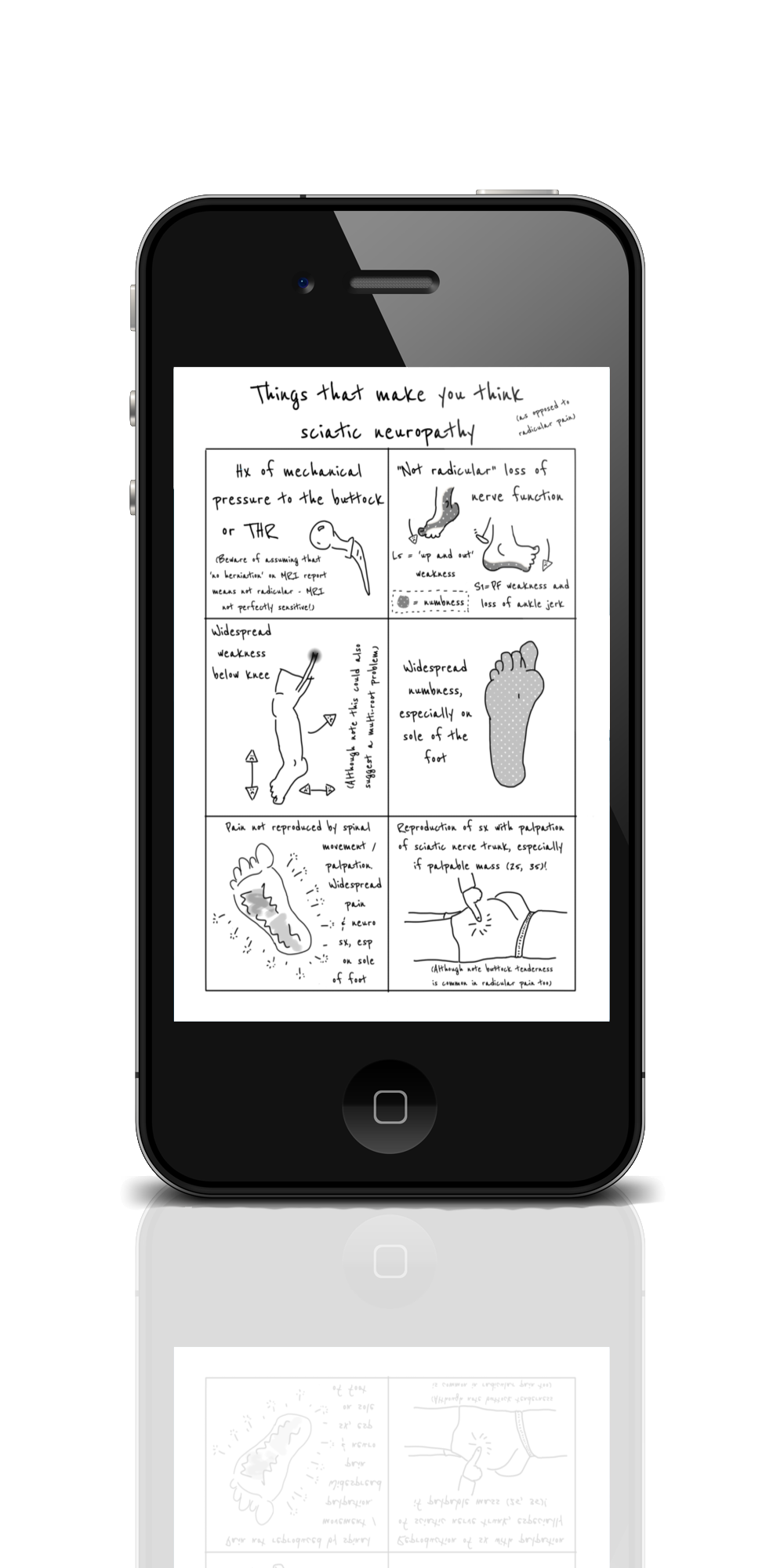 Differential Diagnosis of Radicular Pain Zine